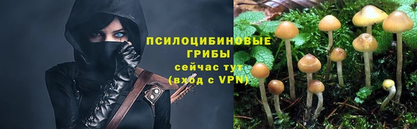 PSILOCYBIN Алексеевка