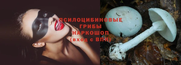 хмурый Алзамай