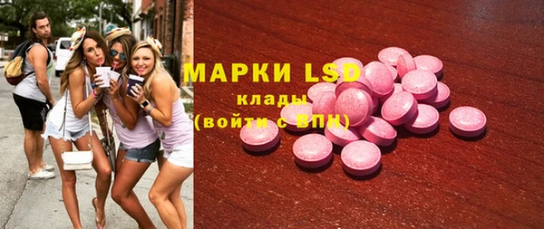 хмурый Алзамай