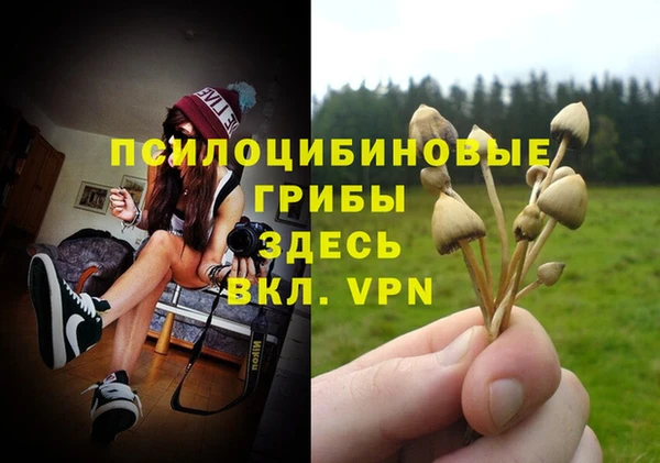 PSILOCYBIN Алексеевка