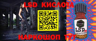 крисы Гай