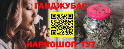 крисы Гай